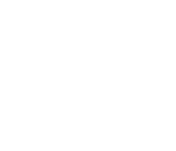 Camp Network